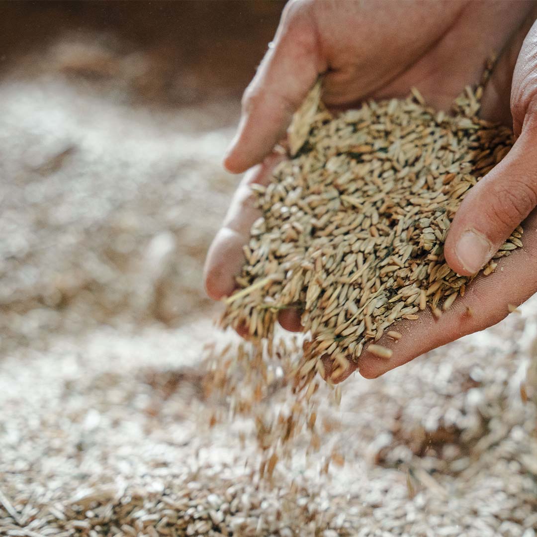 Stachabroat in Österreich
