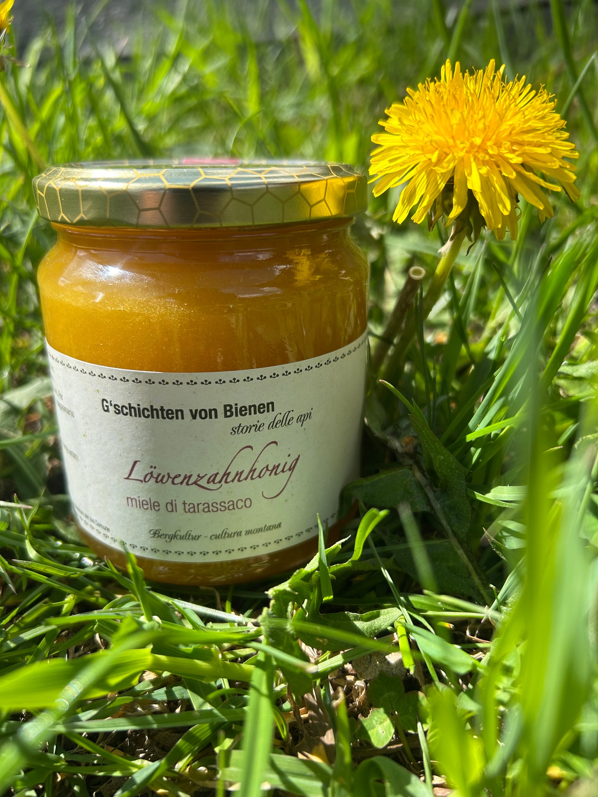 Löwenzahnhonig – 400 g