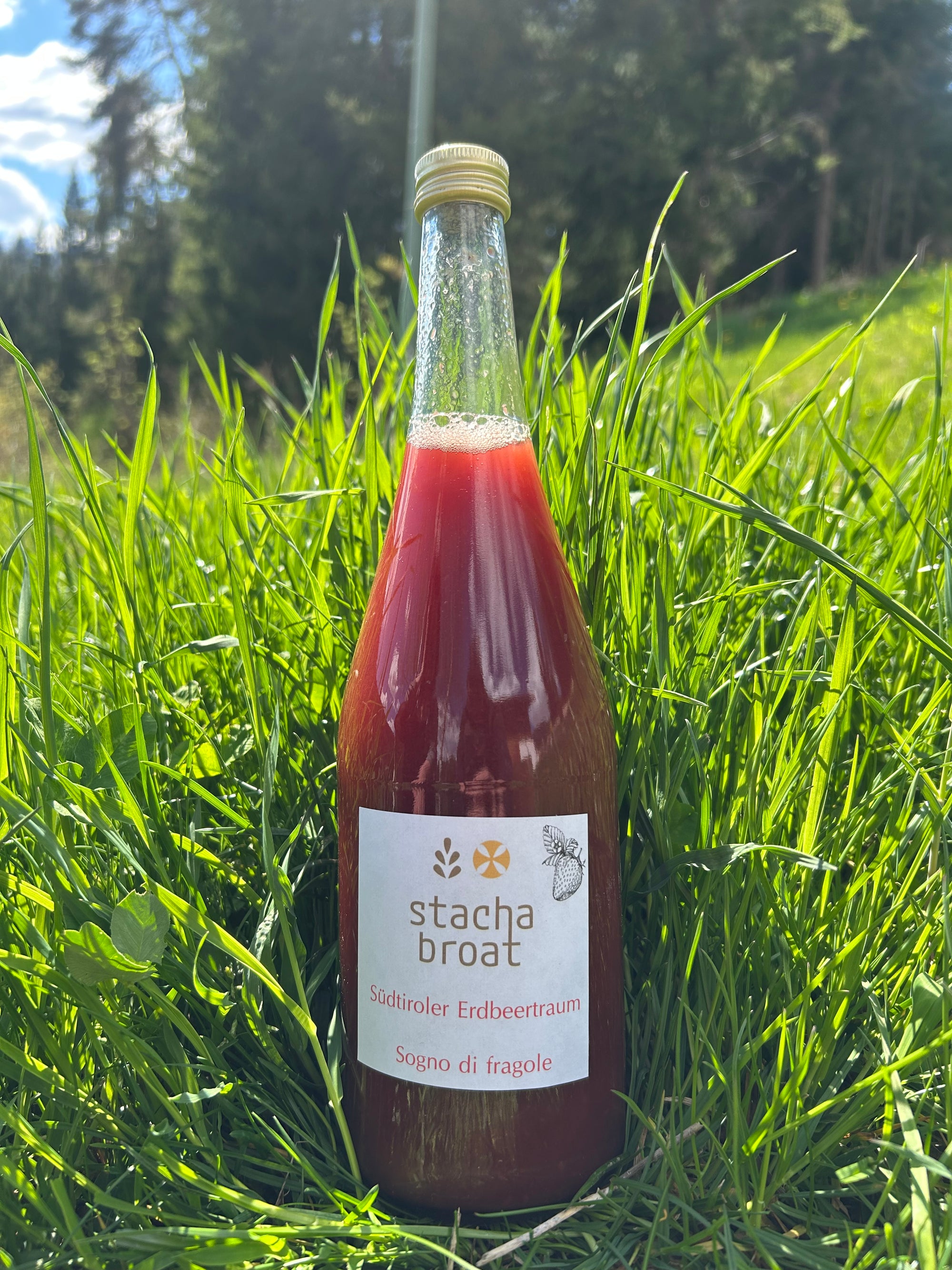 Erdbeertraum – 750 ml